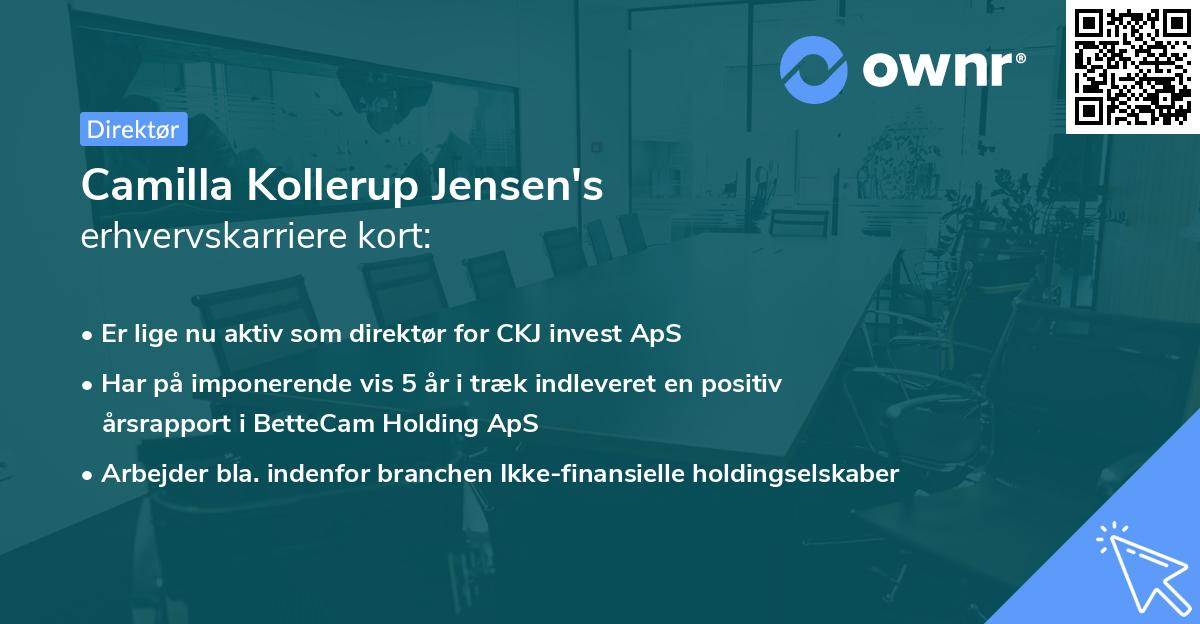 Camilla Kollerup Jensen's erhvervskarriere kort