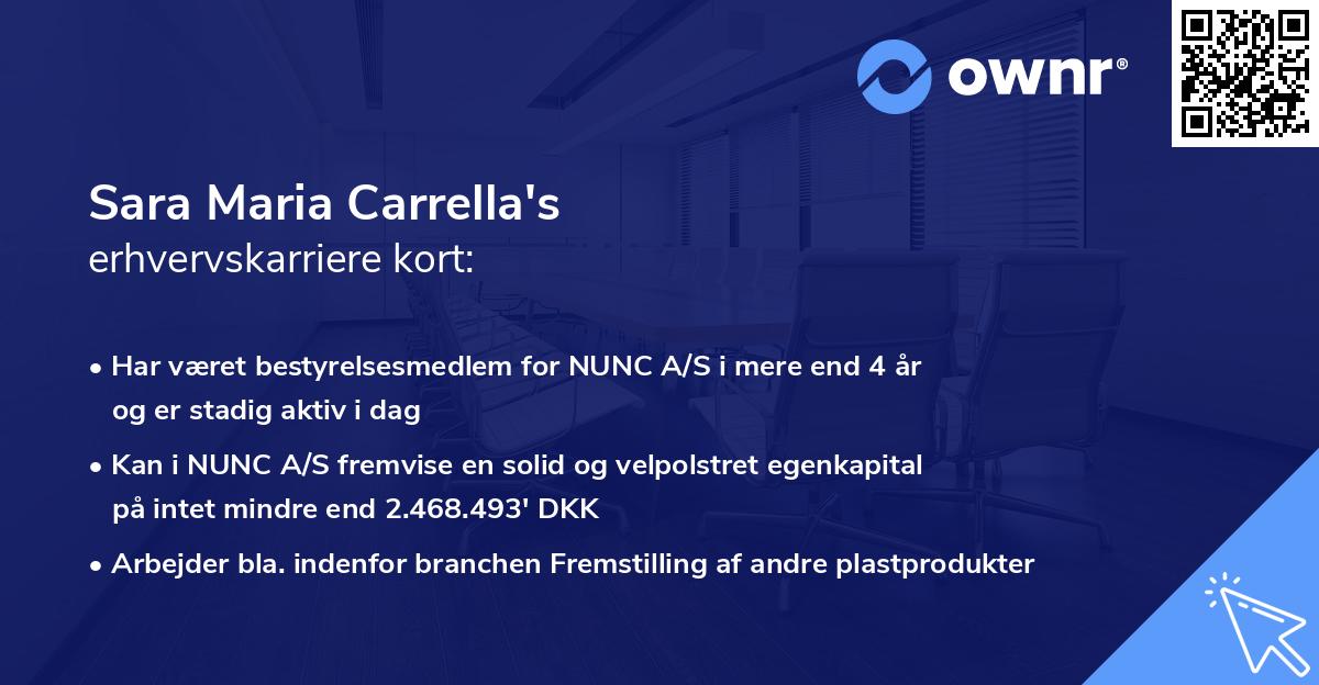 Sara Maria Carrella's erhvervskarriere kort