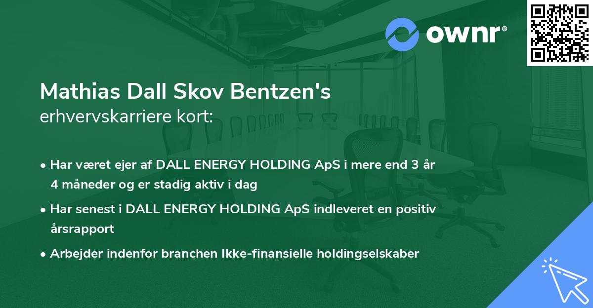 Mathias Dall Skov Bentzen's erhvervskarriere kort