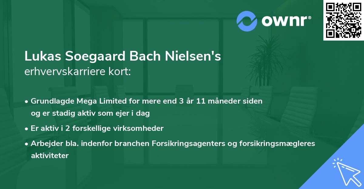 Lukas Soegaard Bach Nielsen's erhvervskarriere kort