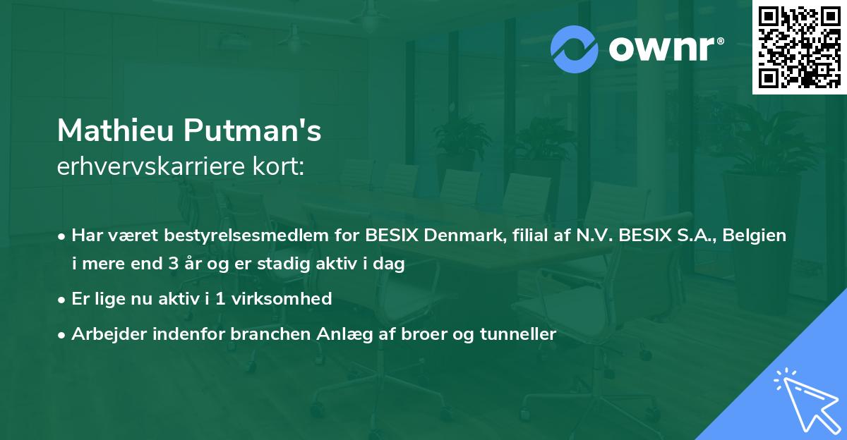 Mathieu Putman's erhvervskarriere kort