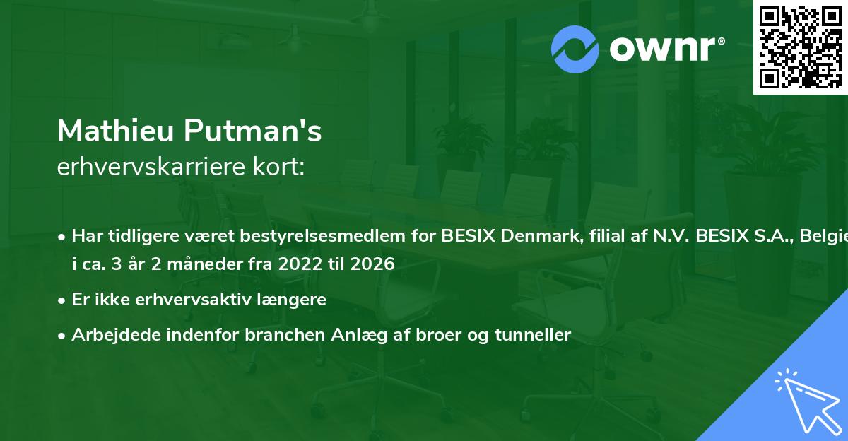 Mathieu Putman's erhvervskarriere kort