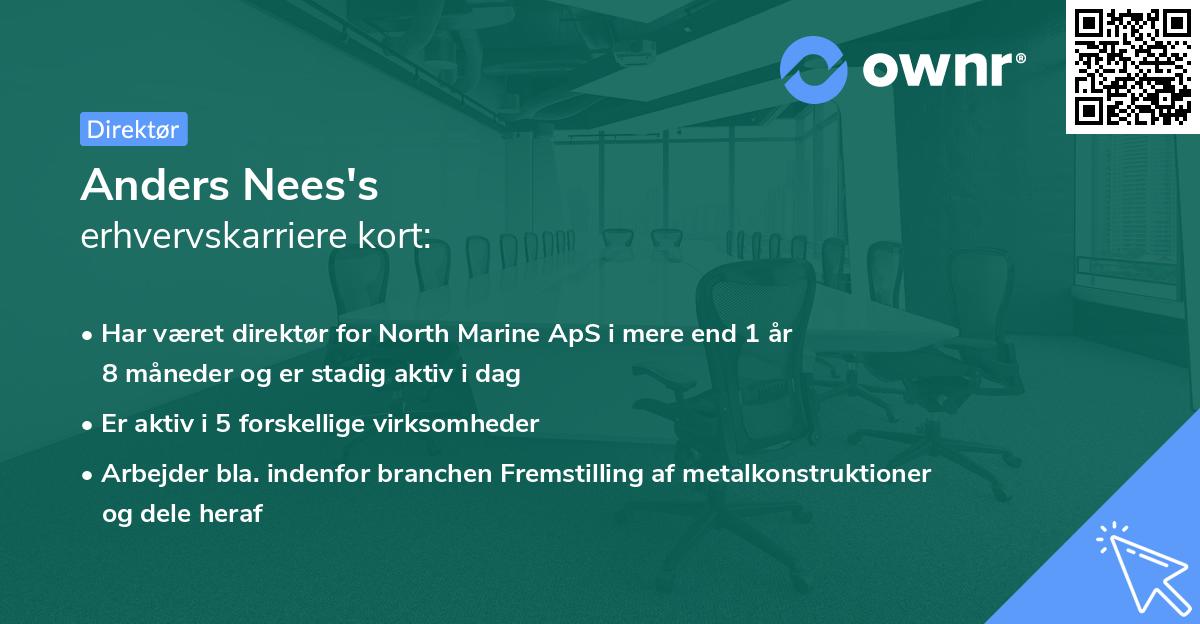 Anders Nees's erhvervskarriere kort