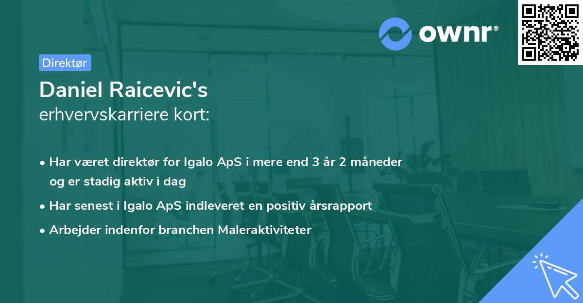 Daniel Raicevic's erhvervskarriere kort