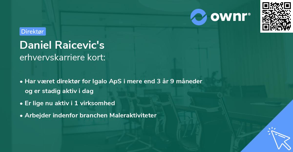 Daniel Raicevic's erhvervskarriere kort
