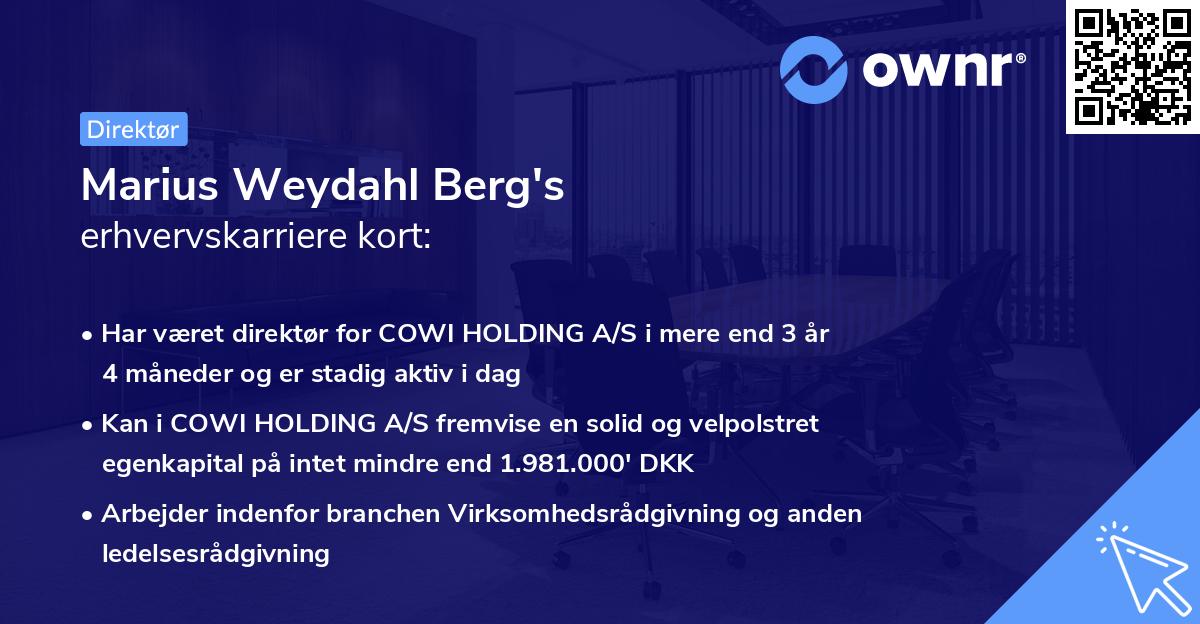 Marius Weydahl Berg's erhvervskarriere kort