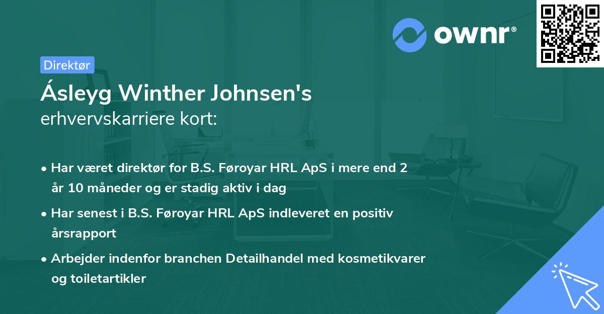 Ásleyg Winther Johnsen's erhvervskarriere kort