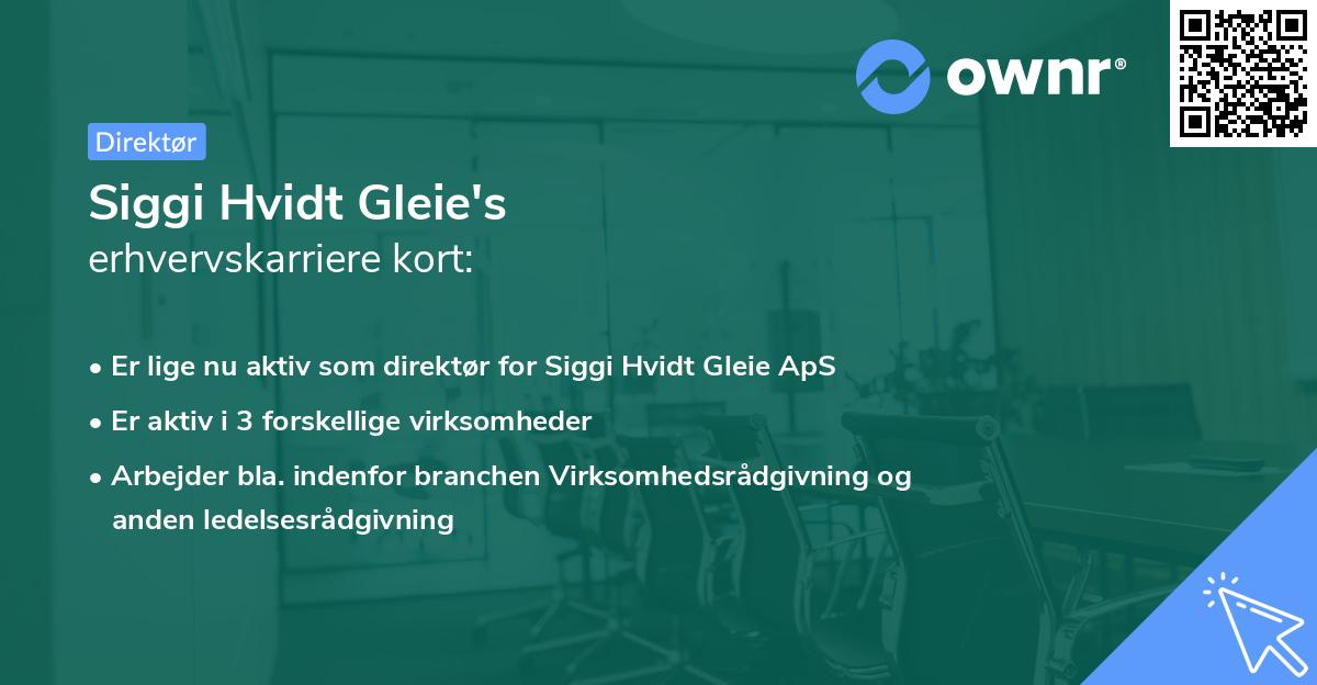 Siggi Hvidt Gleie's erhvervskarriere kort