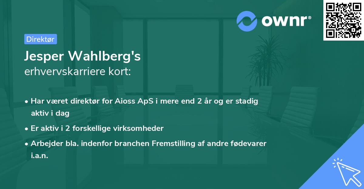 Jesper Wahlberg's erhvervskarriere kort