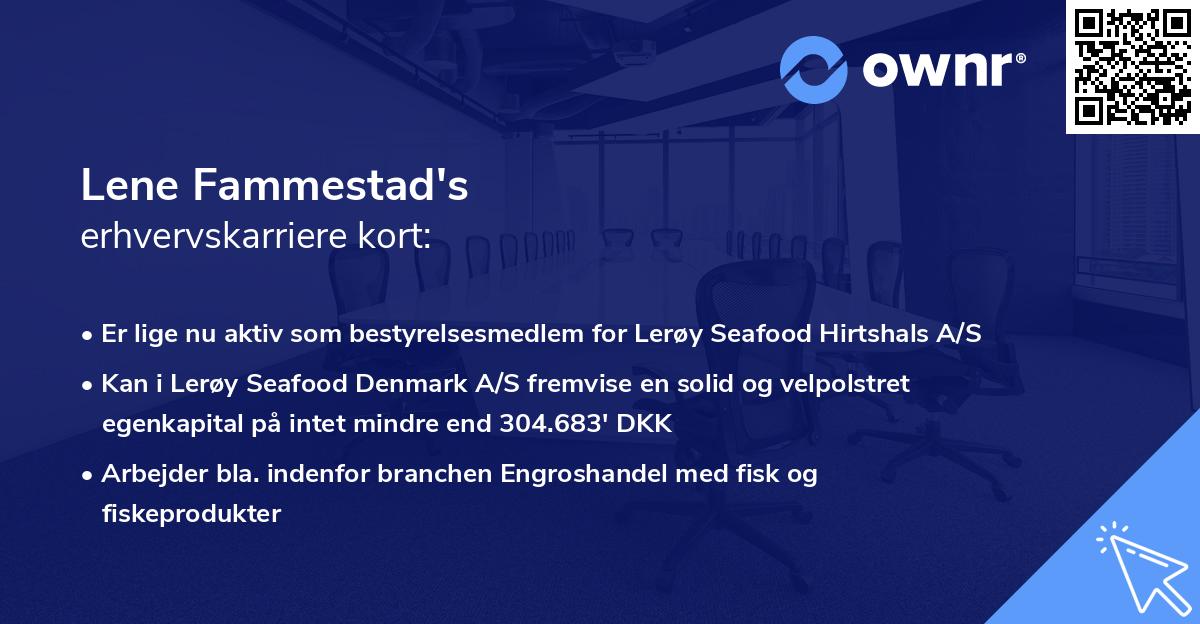 Lene Fammestad's erhvervskarriere kort