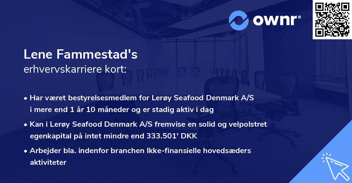 Lene Fammestad's erhvervskarriere kort