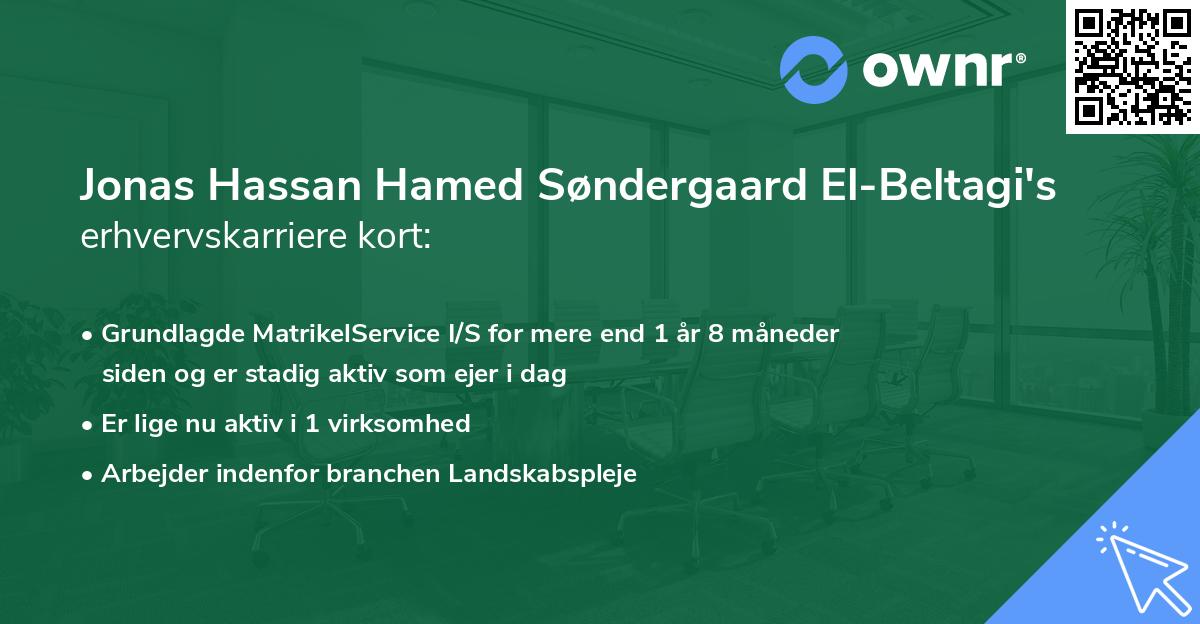 Jonas Hassan Hamed Søndergaard El-Beltagi's erhvervskarriere kort