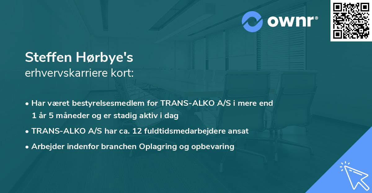 Steffen Hørbye's erhvervskarriere kort