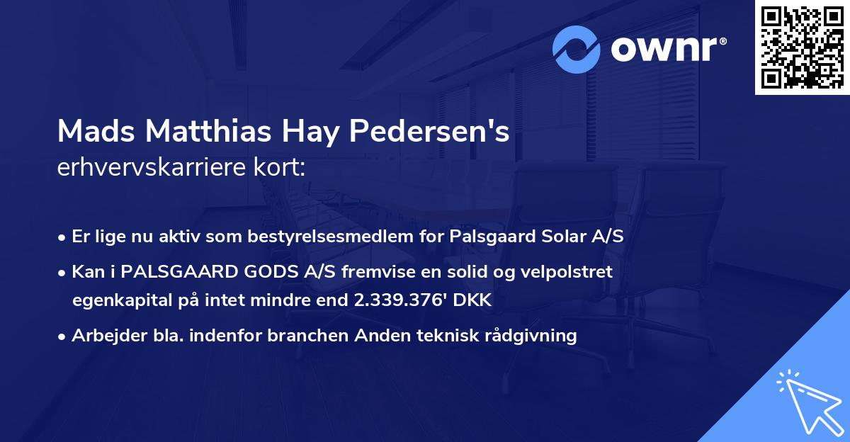 Mads Matthias Hay Pedersen's erhvervskarriere kort
