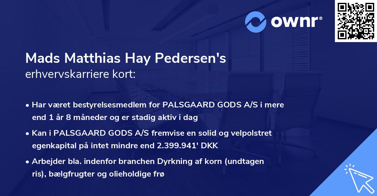 Mads Matthias Hay Pedersen's erhvervskarriere kort