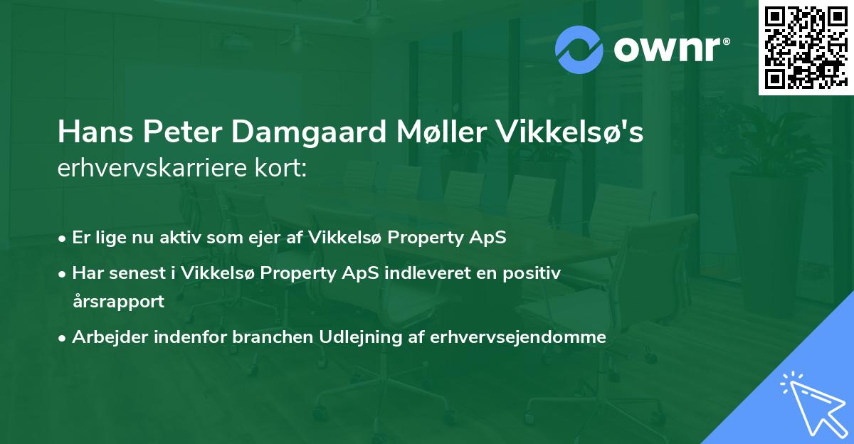 Hans Peter Damgaard Møller Vikkelsø's erhvervskarriere kort