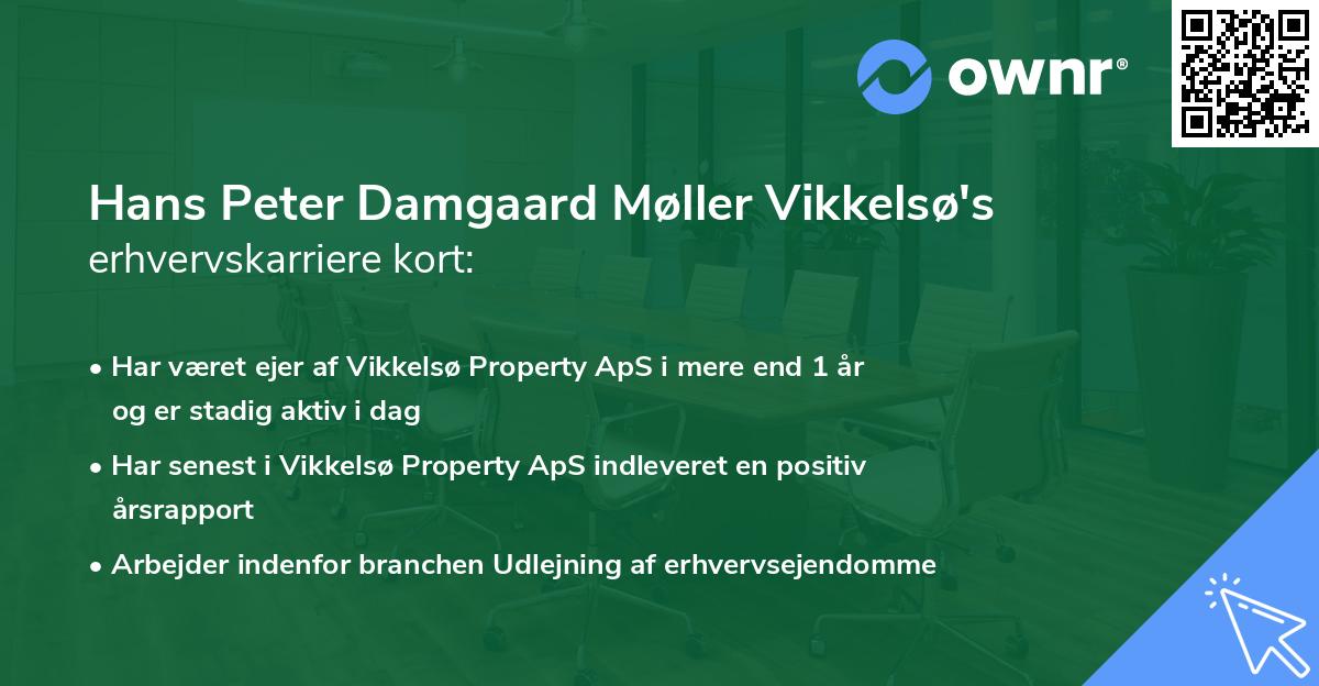 Hans Peter Damgaard Møller Vikkelsø's erhvervskarriere kort