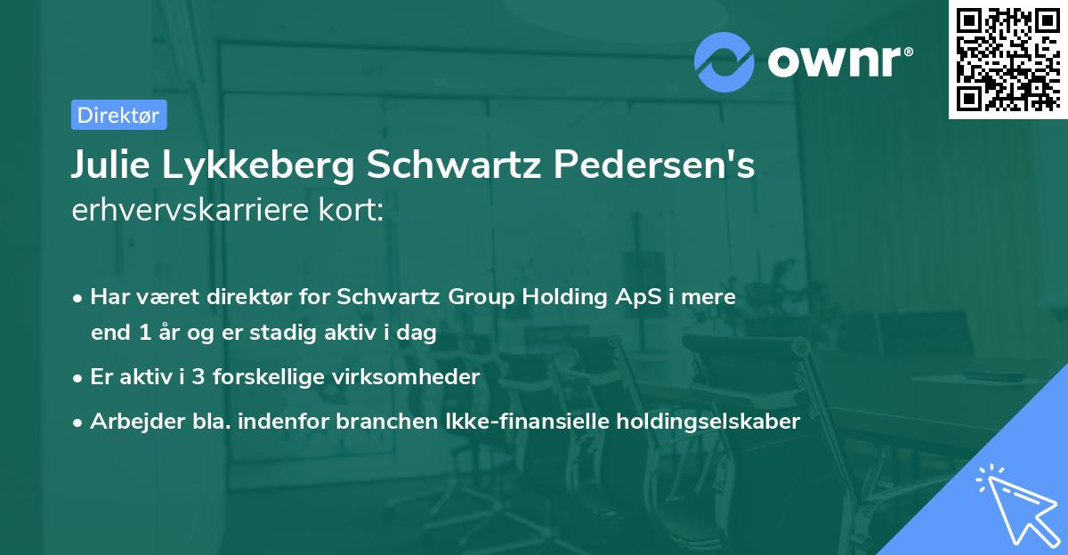 Julie Lykkeberg Schwartz Pedersen's erhvervskarriere kort