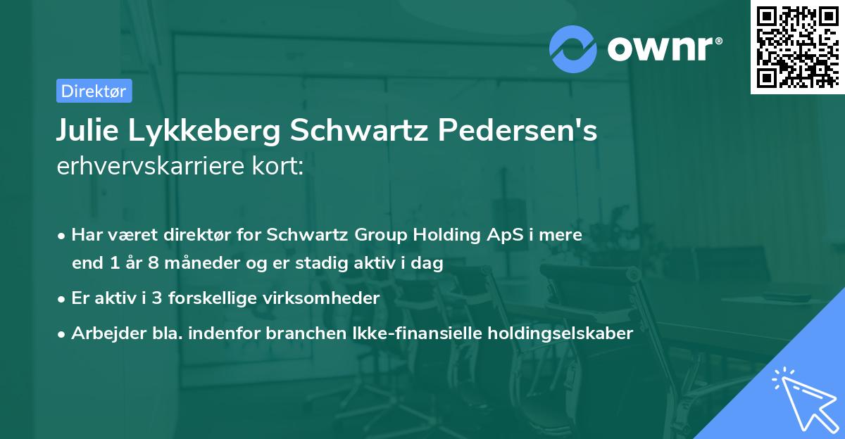 Julie Lykkeberg Schwartz Pedersen's erhvervskarriere kort