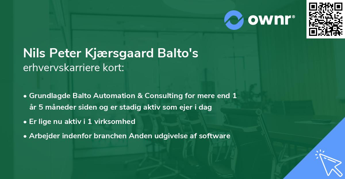 Nils Peter Kjærsgaard Balto's erhvervskarriere kort