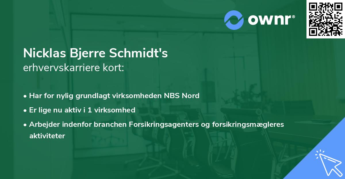 Nicklas Bjerre Schmidt's erhvervskarriere kort