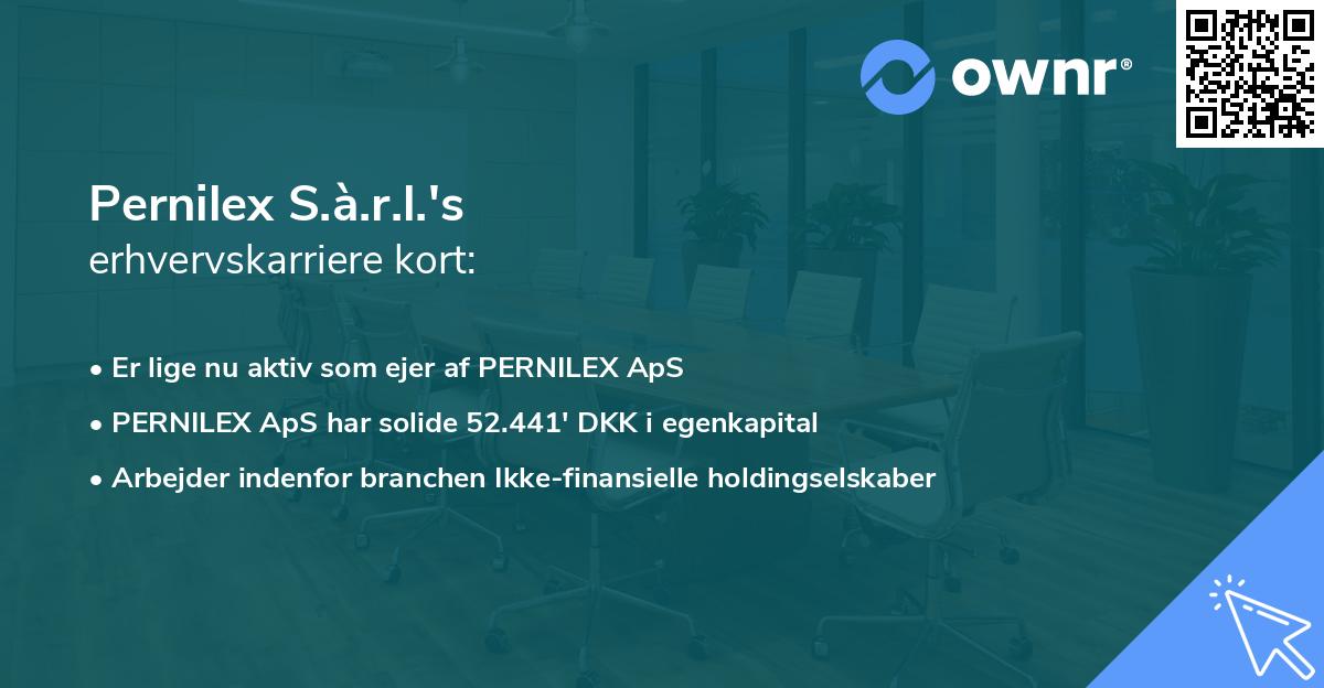 Pernilex S.à.r.l.'s erhvervskarriere kort