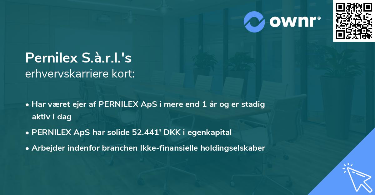 Pernilex S.à.r.l.'s erhvervskarriere kort