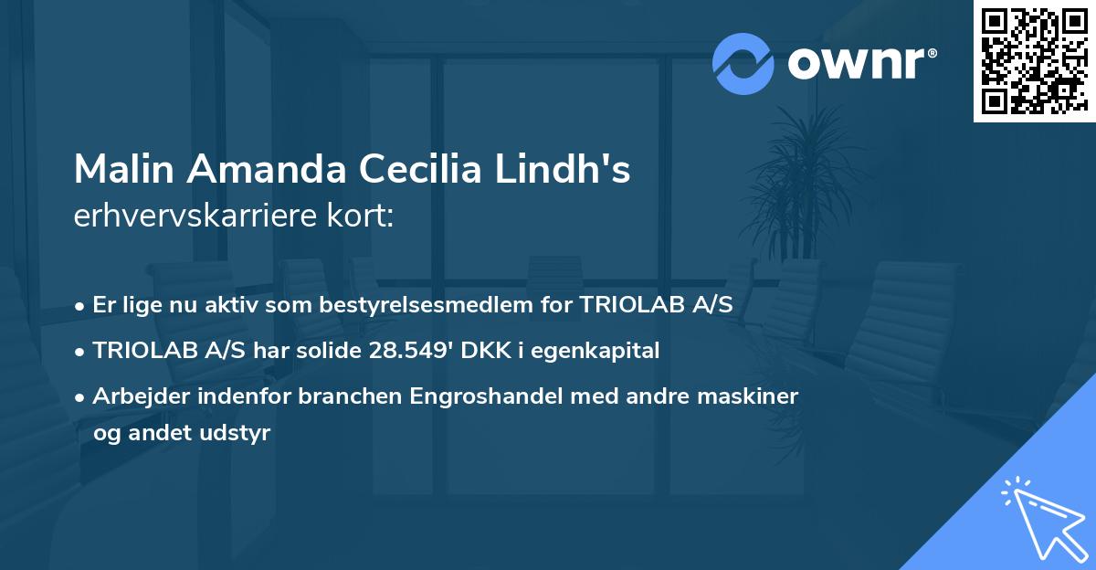 Malin Amanda Cecilia Lindh's erhvervskarriere kort