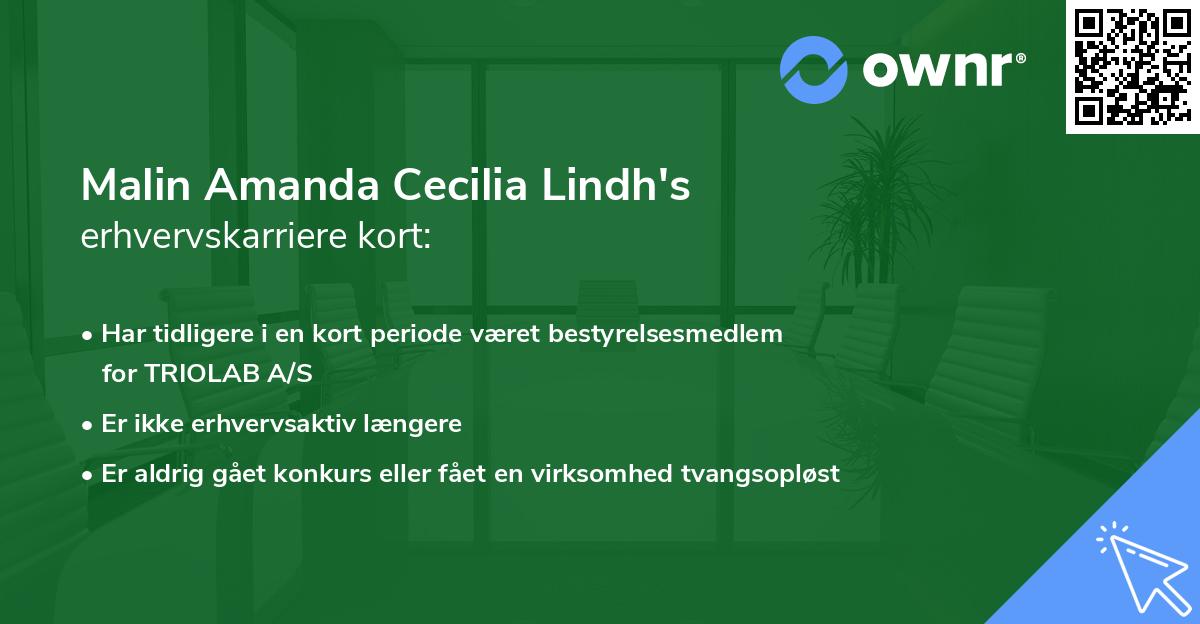 Malin Amanda Cecilia Lindh's erhvervskarriere kort