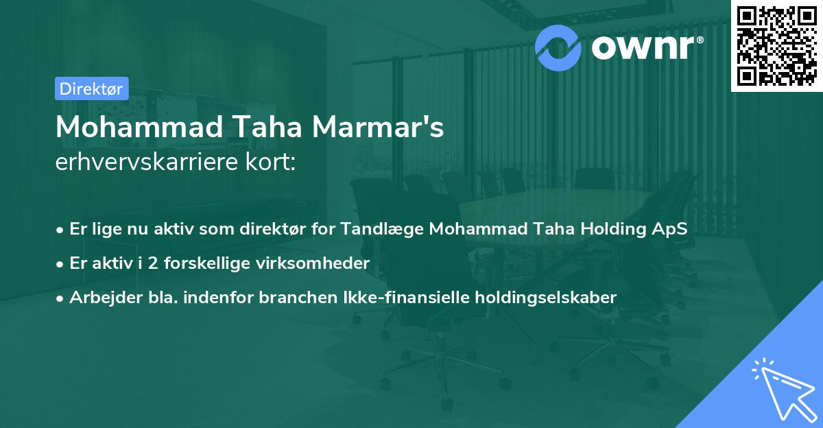 Mohammad Taha Marmar's erhvervskarriere kort