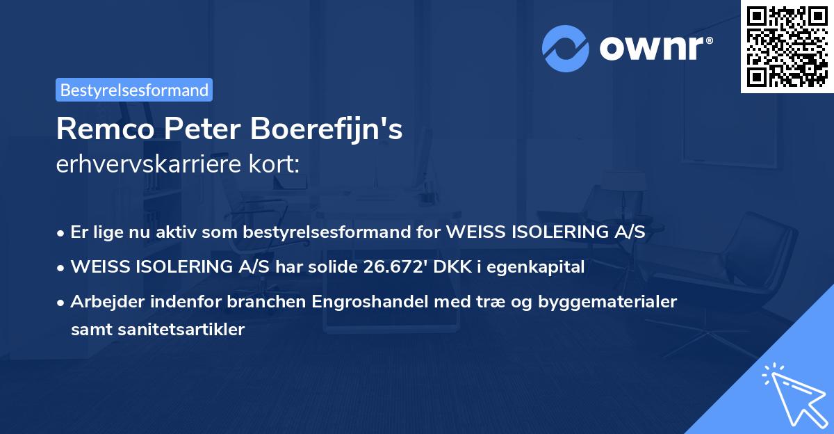 Remco Peter Boerefijn's erhvervskarriere kort