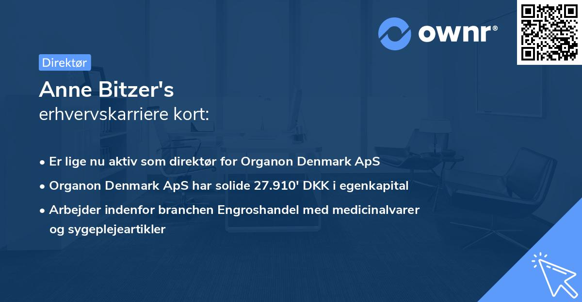 Anne Bitzer's erhvervskarriere kort