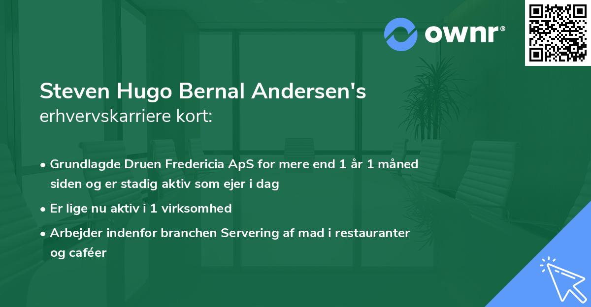 Steven Hugo Bernal Andersen's erhvervskarriere kort