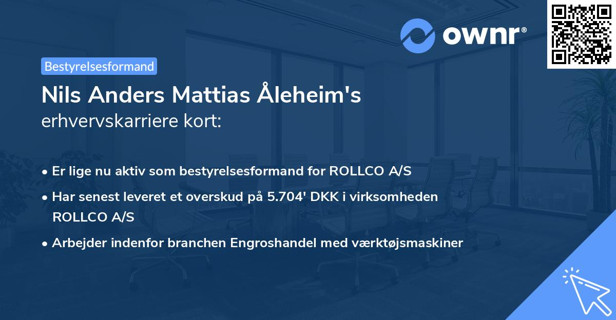 Nils Anders Mattias Åleheim's erhvervskarriere kort