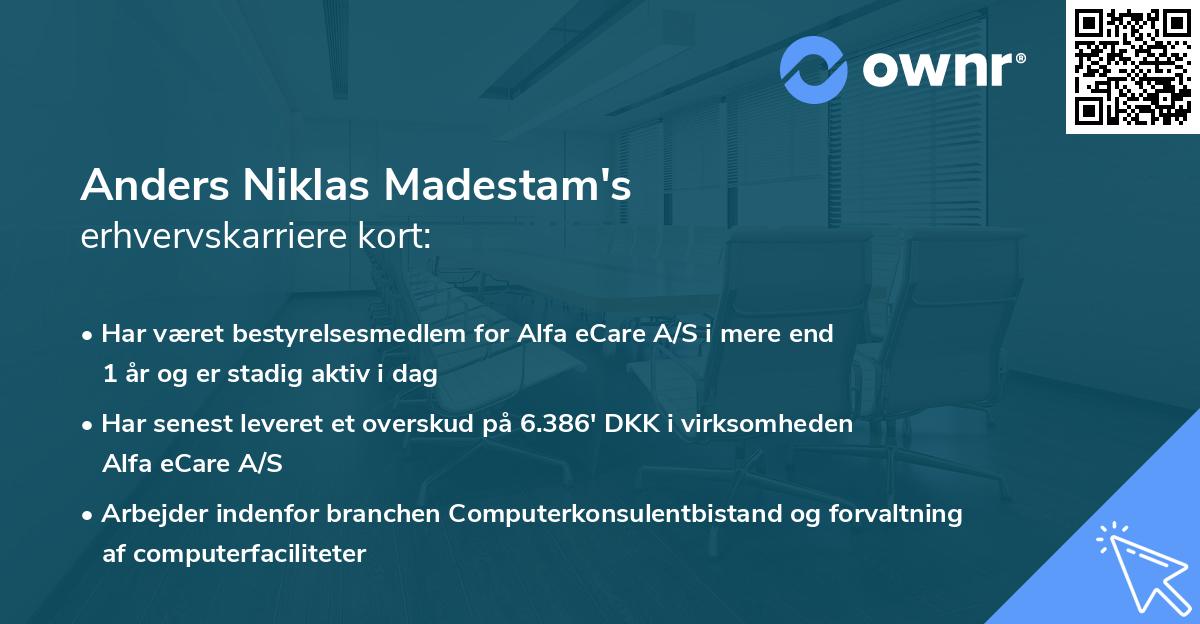 Anders Niklas Madestam's erhvervskarriere kort