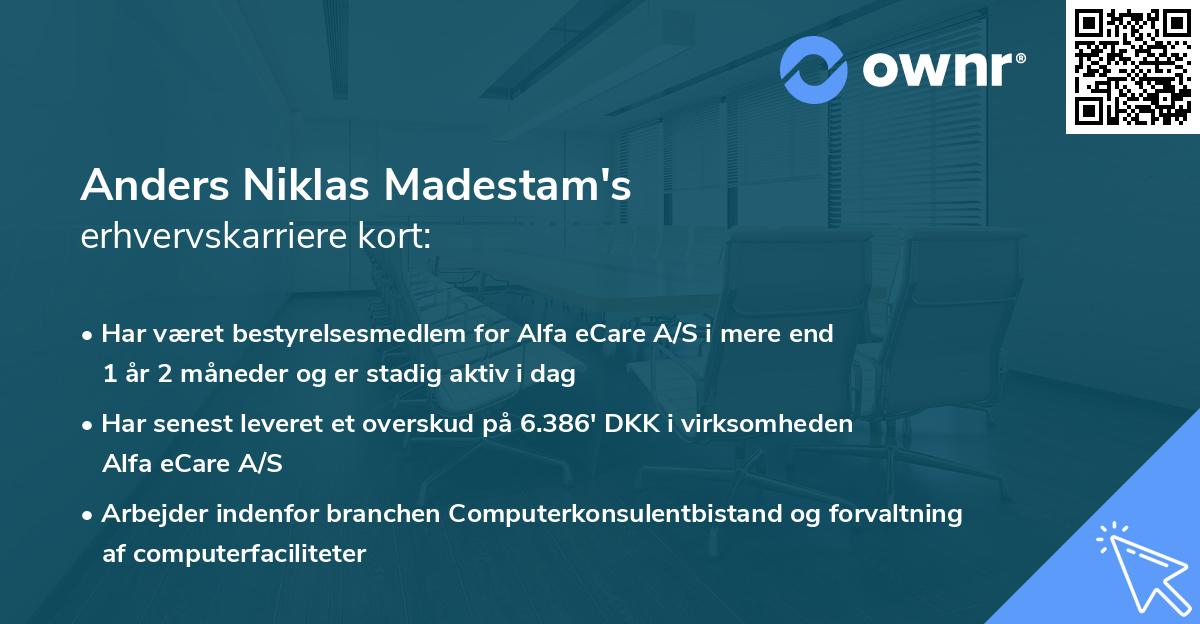 Anders Niklas Madestam's erhvervskarriere kort