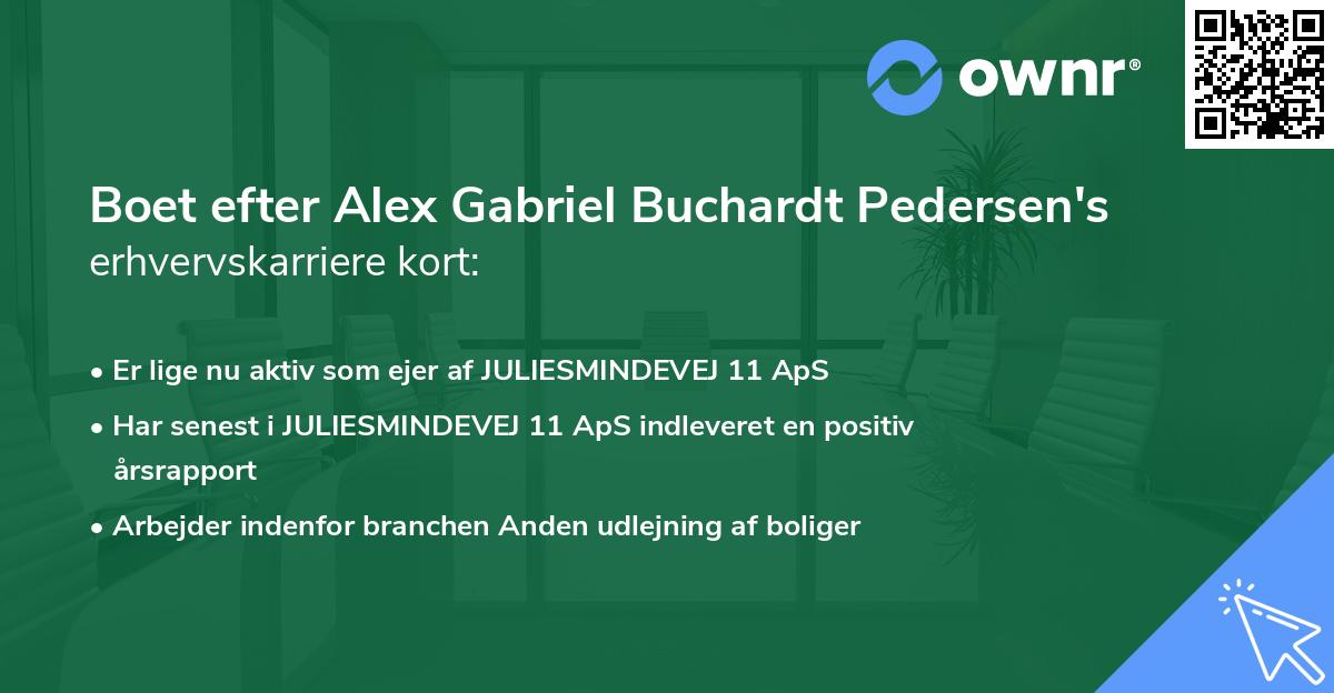 Boet efter Alex Gabriel Buchardt Pedersen's erhvervskarriere kort
