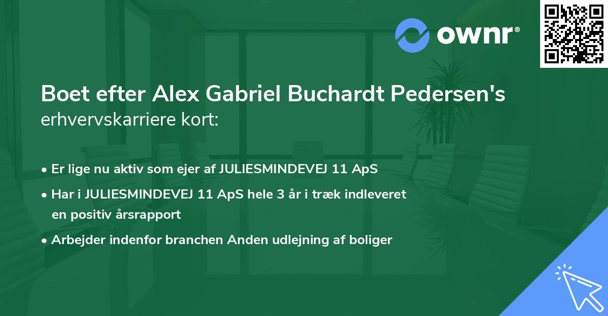 Boet efter Alex Gabriel Buchardt Pedersen's erhvervskarriere kort