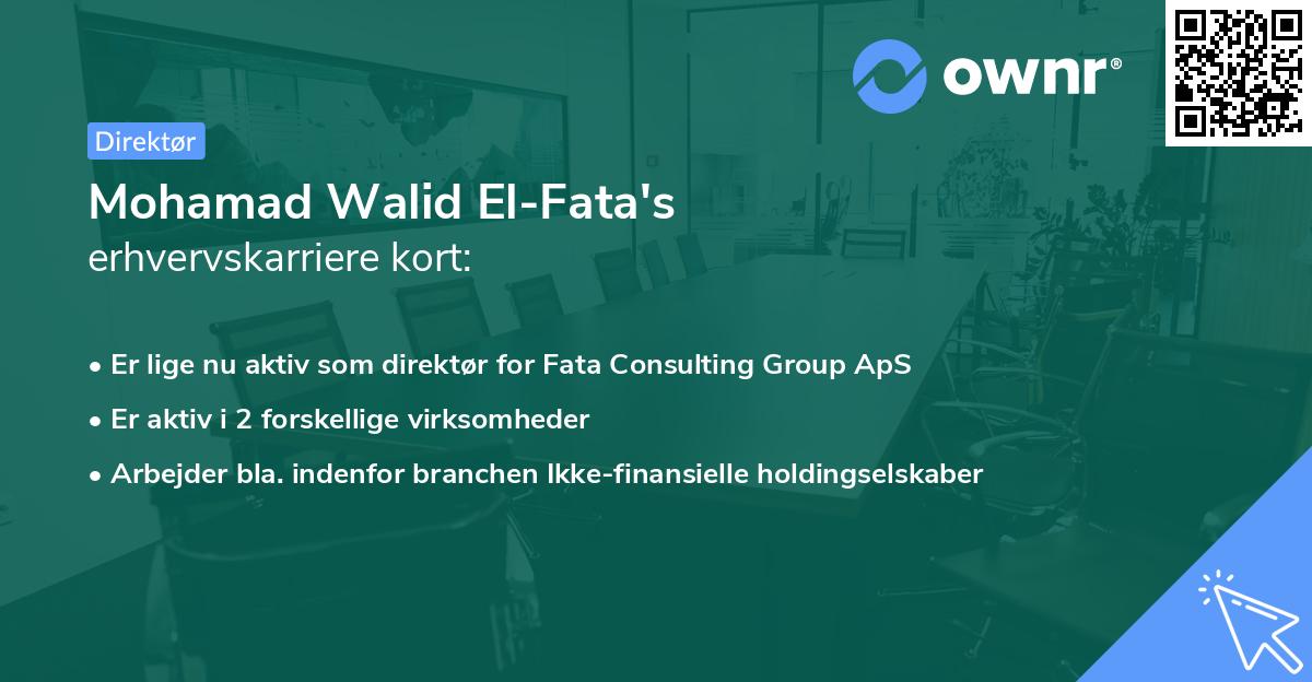 Mohamad Walid El-Fata's erhvervskarriere kort