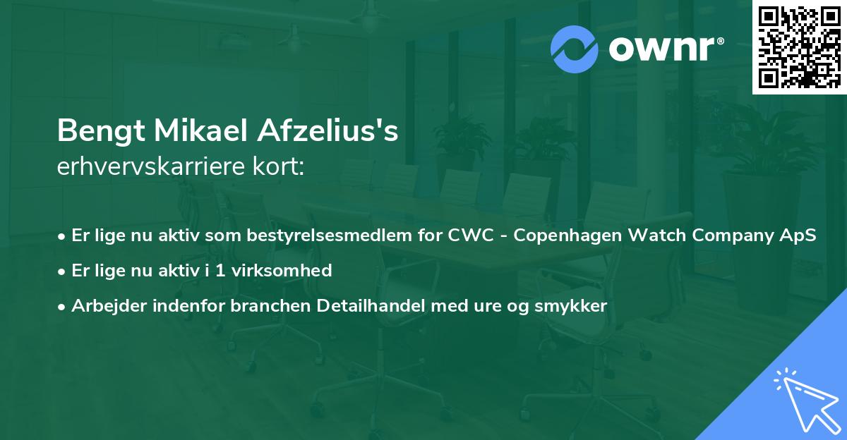 Bengt Mikael Afzelius's erhvervskarriere kort