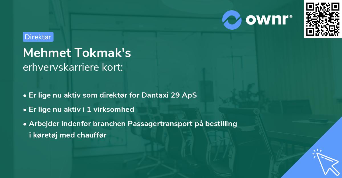 Mehmet Tokmak's erhvervskarriere kort