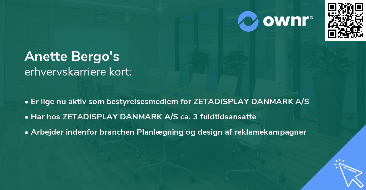 Anette Bergo's erhvervskarriere kort