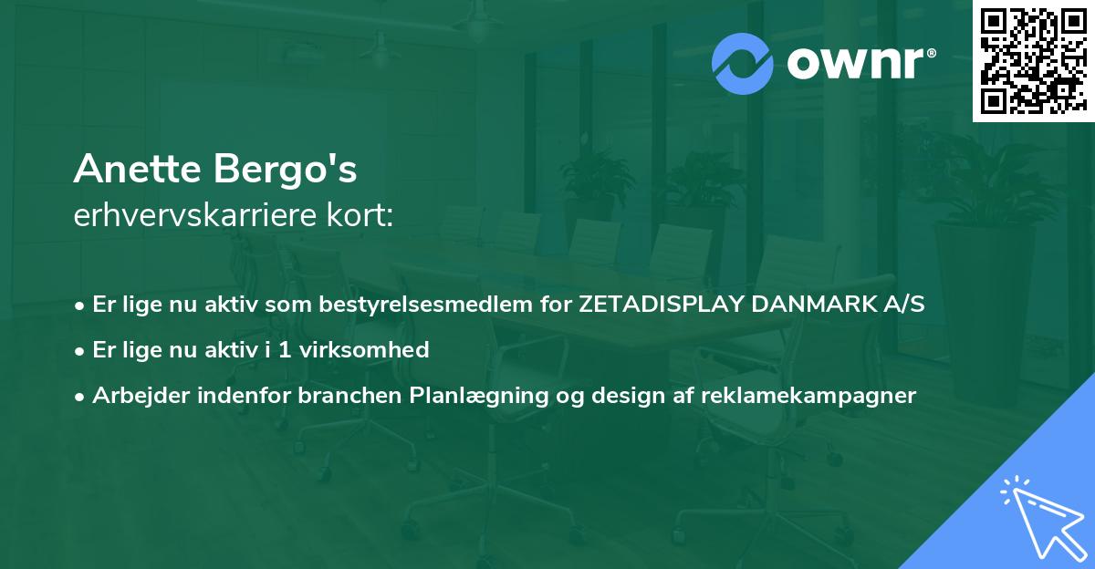 Anette Bergo's erhvervskarriere kort