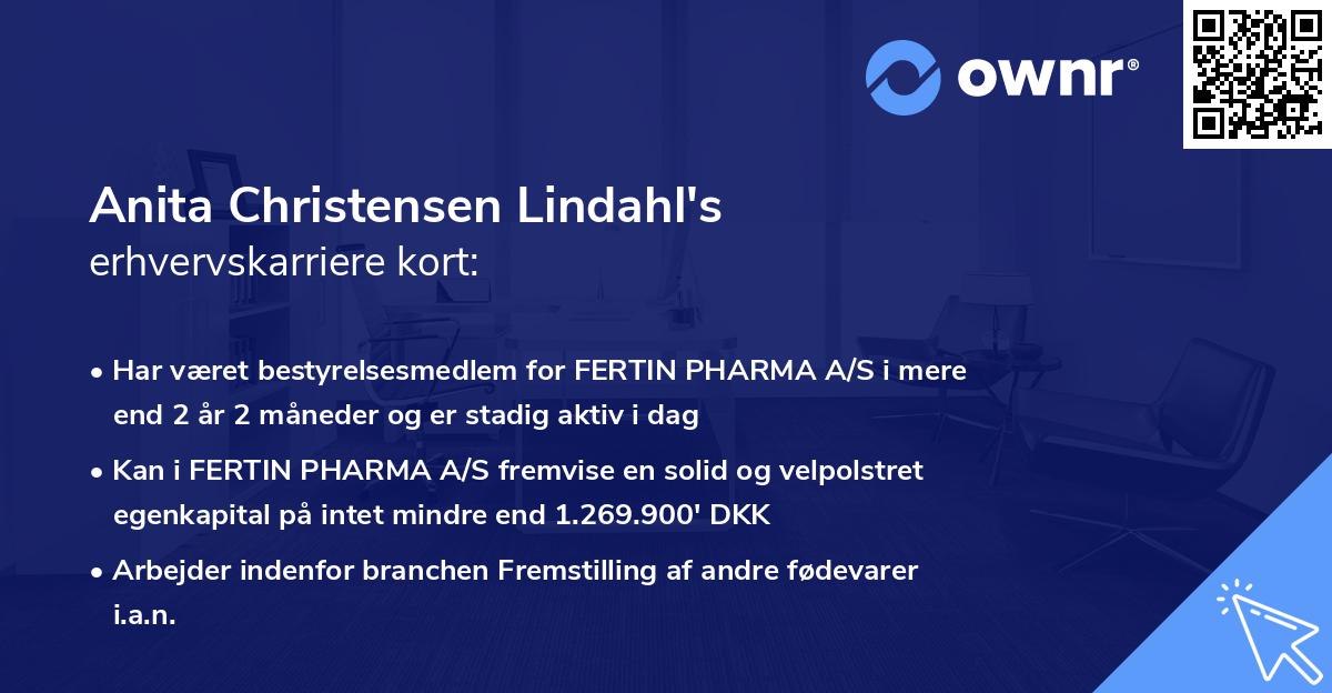 Anita Christensen Lindahl's erhvervskarriere kort