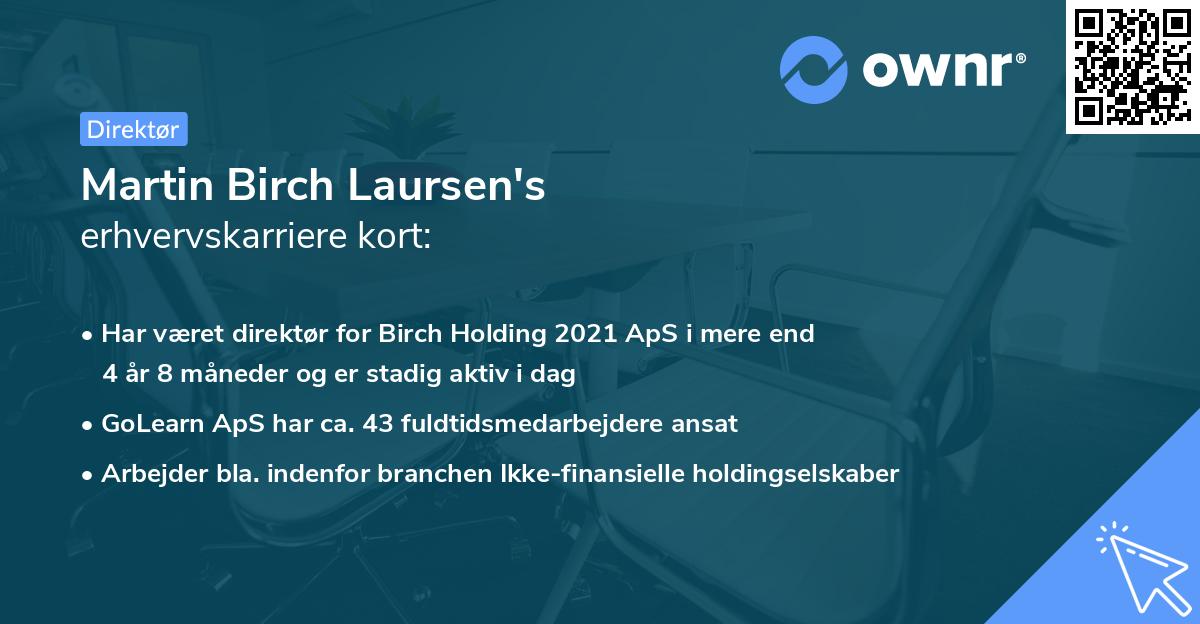 Martin Birch Laursen's erhvervskarriere kort