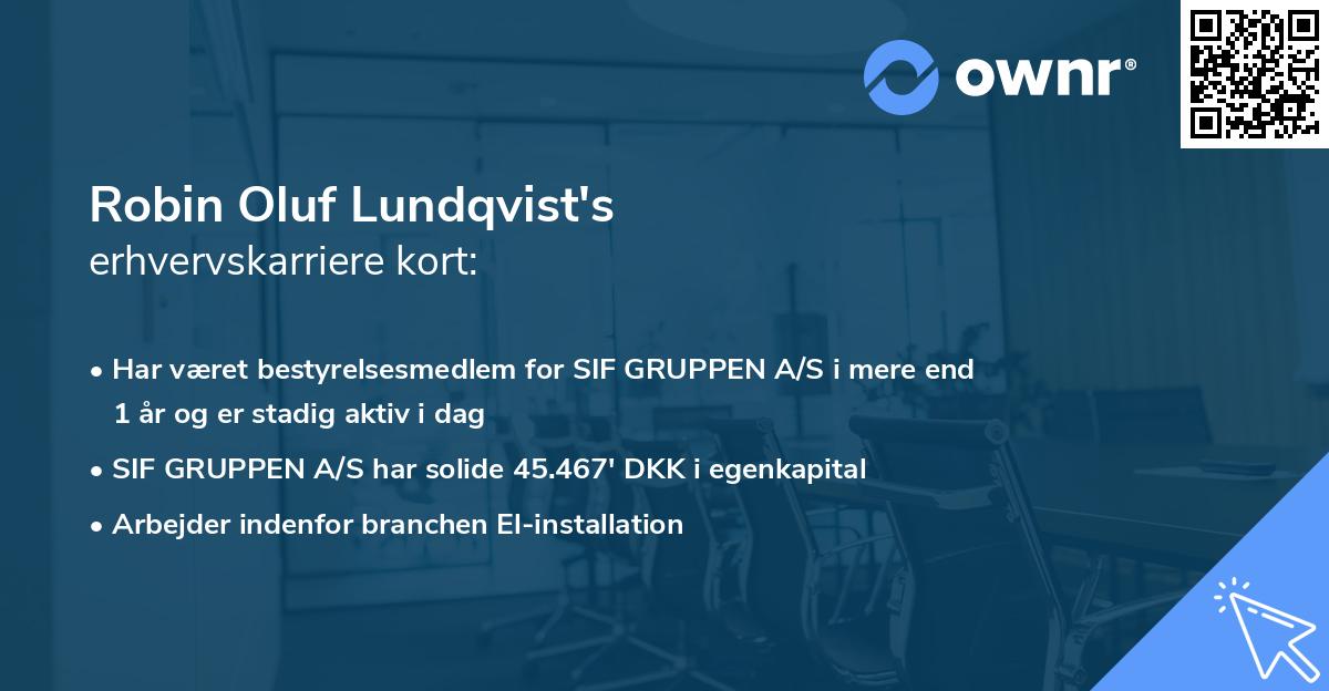 Robin Oluf Lundqvist's erhvervskarriere kort