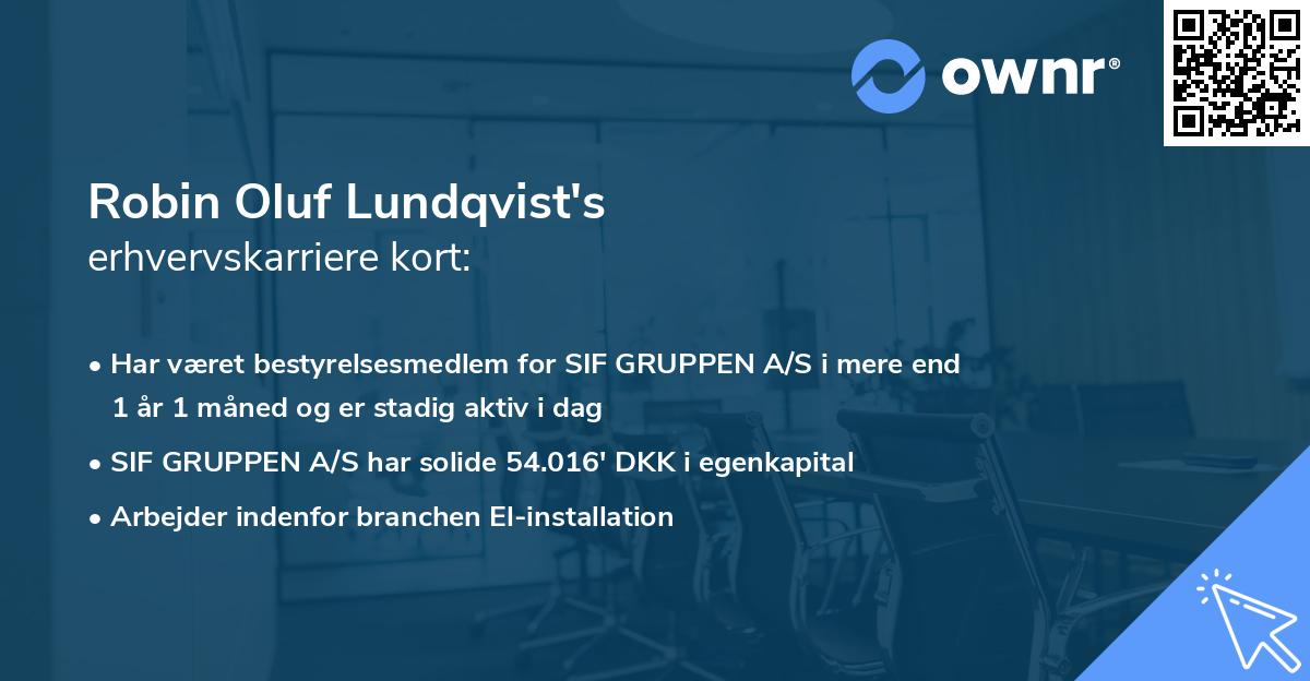 Robin Oluf Lundqvist's erhvervskarriere kort