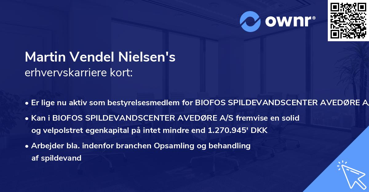 Martin Vendel Nielsen's erhvervskarriere kort