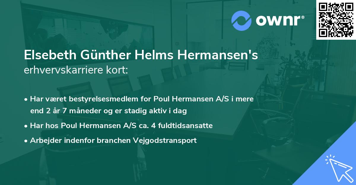 Elsebeth Günther Helms Hermansen's erhvervskarriere kort