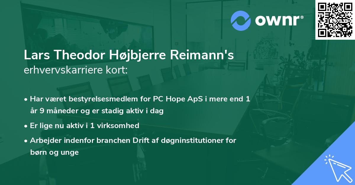 Lars Theodor Højbjerre Reimann's erhvervskarriere kort